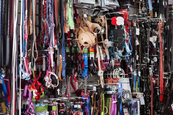 Diverse huisdier uitrustingen weergegeven in winkel — Stockfoto