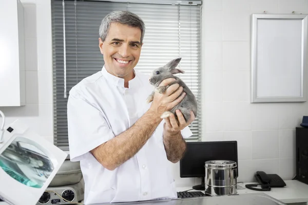 Впевнений зрілий чоловік ветеринар тримає милий кролик — стокове фото