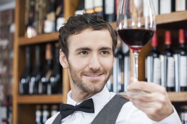 Kırmızı şarap inceleyerek barmen gülümseyen, portre