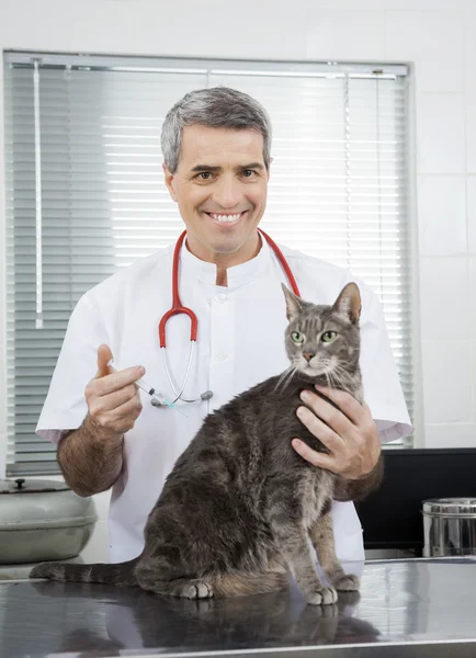 Αρσενικό γιατρό δίνοντας ένεση σε κακή γάτα — Φωτογραφία Αρχείου