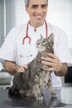 Doktor hasta kedi kliniğinde süre tutmak gülümseyen