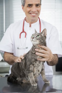 Doctor Smiling While Holding Ill Cat In Clinic clipart