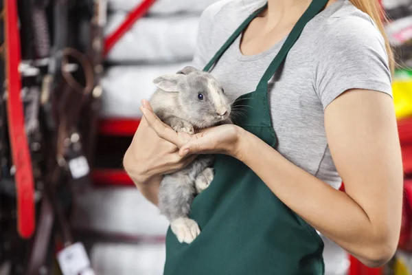Verkäuferin hält Kaninchen im Laden — Stockfoto