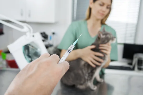 Veterinários mão segurando injeção enquanto enfermeira mimando gato — Fotografia de Stock