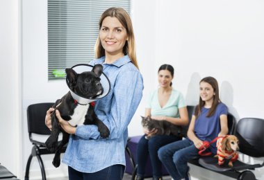Bulldog koni ile klinikte tutan kadın
