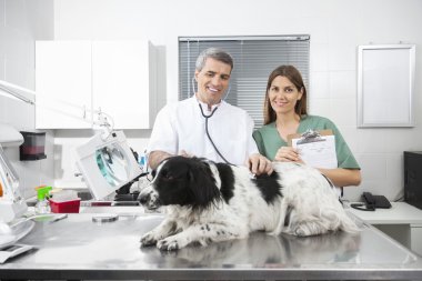 Kömür ocağı inceleyerek doktor tarafından ayakta hemşire