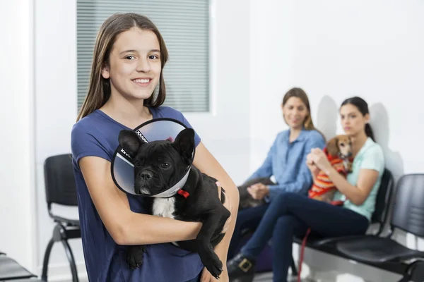 Menina segurando Bulldog francês com cone — Fotografia de Stock