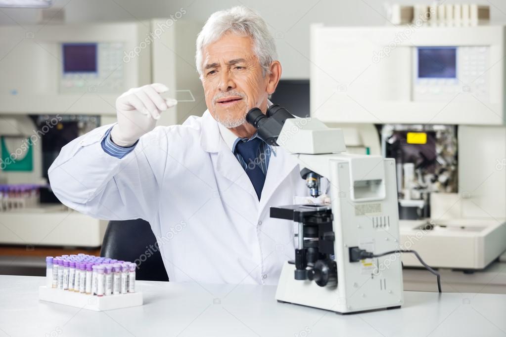 Scientist Analyzing Microscope Slide In Lab