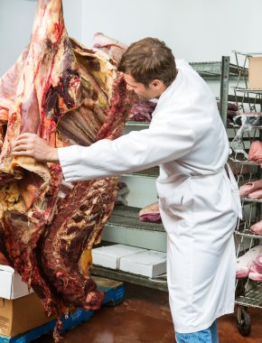 Sığır eti tarafında sınıflandırma kasap