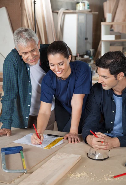 Tischler arbeitet mit Kollegen an Bauplan — Stockfoto