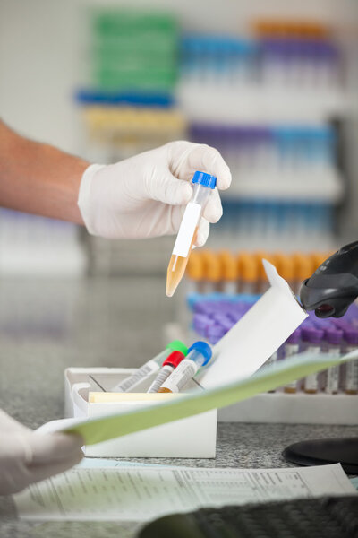 Technician With Sample Analyzing Document In Lab