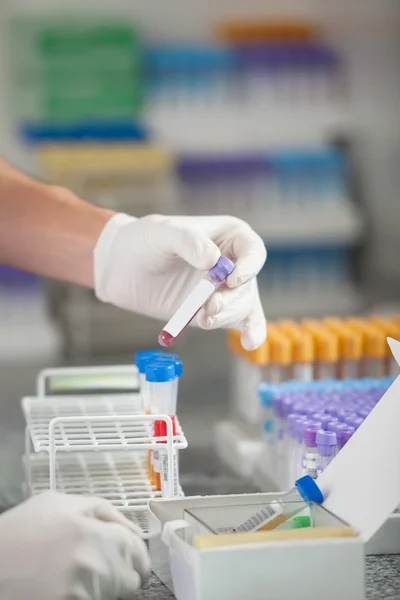 Technician Analyzing Sample In Lab — Stock Photo, Image