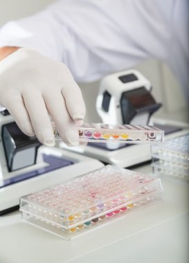 Renk örnekleri ile dolu Mikroplaka tutan bilim adamı