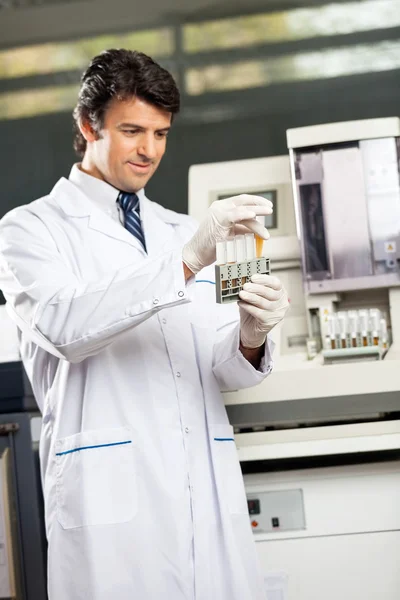 Científico analizando muestras de orina en laboratorio — Foto de Stock