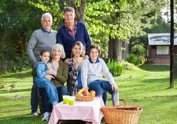 Famille multi-génération appréciant le pique-nique dans le parc — Photo