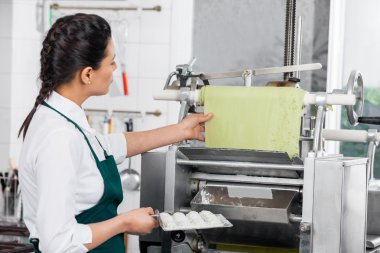 Şef işleme mantı makarna makine