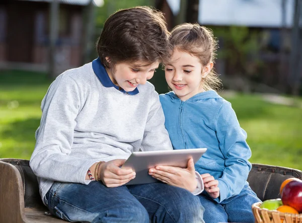 Broers en zussen met behulp van Tablet PC op Camping — Stockfoto