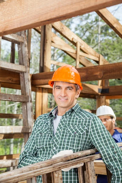 Glimlachend mannelijke bouwvakker uitvoering Ladder — Stockfoto