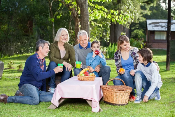 Familjen njuter av friska picknick i parken — Stockfoto