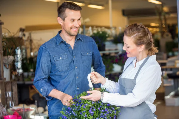 Флорист, що показує квіткову рослину клієнту в магазині — стокове фото