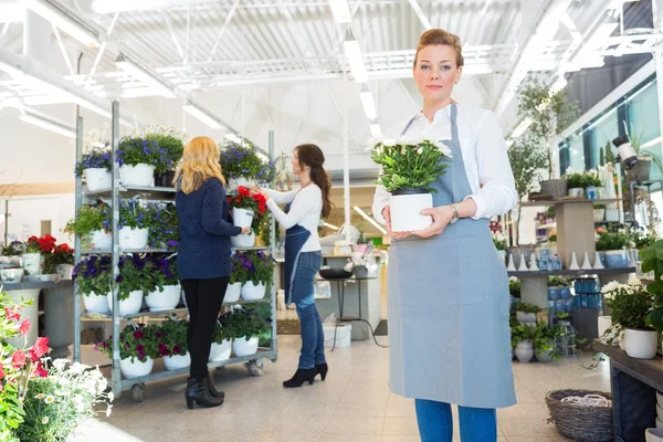 Selbstbewusste Verkäuferin hält Blumentopf in Blumenladen — Stockfoto