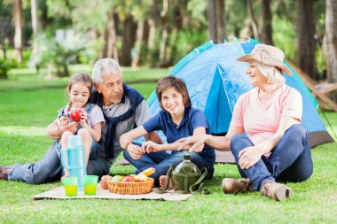 Multi Generation Family Camping In Park clipart