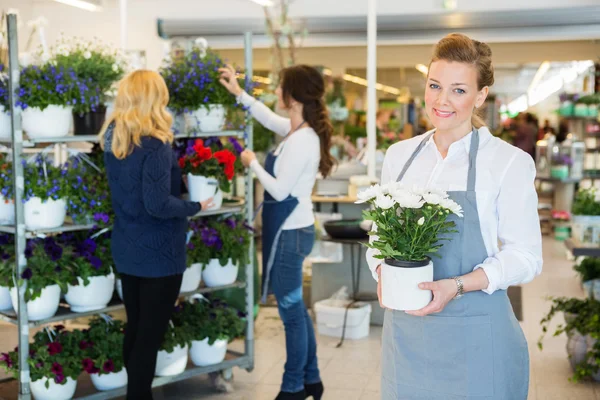 Floristería feliz sosteniendo maceta en la tienda — Foto de Stock