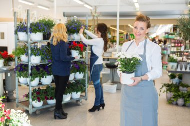 Kendine güvenen çiçekçi dükkanı saksıyı Holding