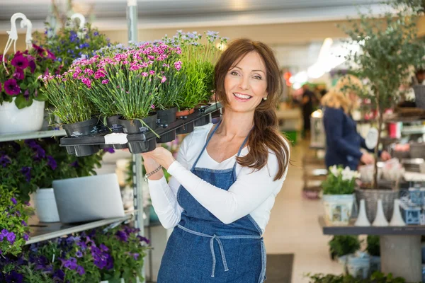 Floristería sonriente llevando jaula llena de plantas de flores en la tienda — Foto de Stock