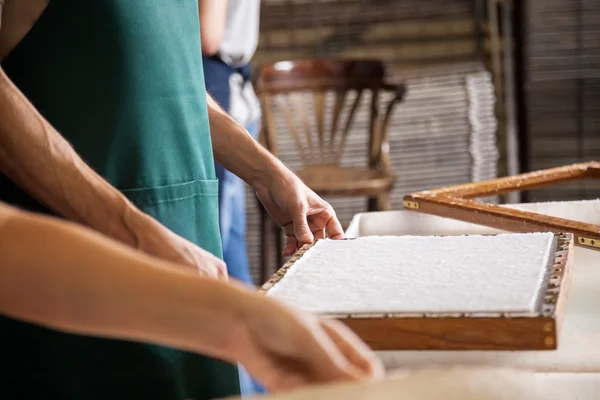 Buik werknemer houden schimmel In papierfabriek — Stockfoto