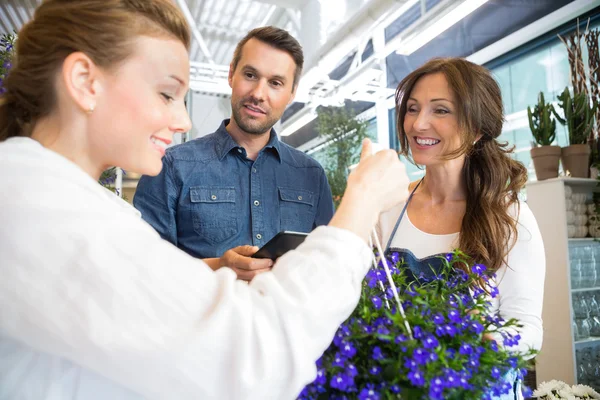 Florist hilft Paar beim Kauf lila Blütenpflanze — Stockfoto