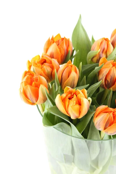 Stelletje oranje tulpen — Stockfoto