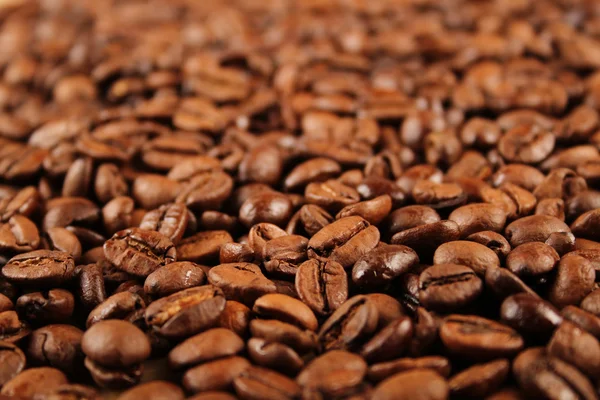 Fresh coffee beans — Stock Photo, Image