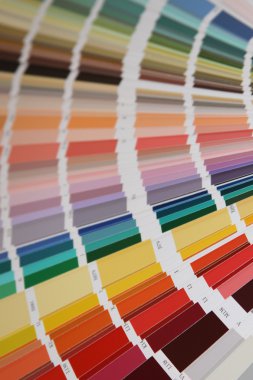 Pantone renk boya için
