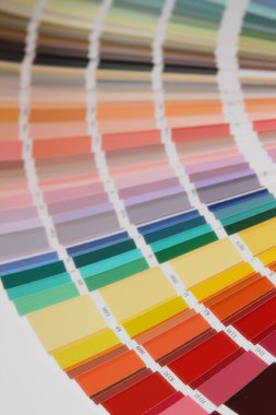 Pantone renk boya için