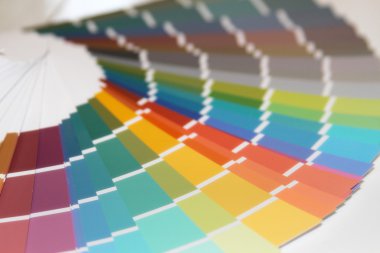 Pantone renk boya için