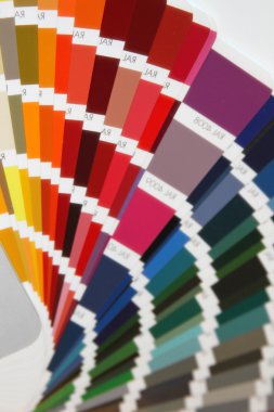Pantone renk boya için