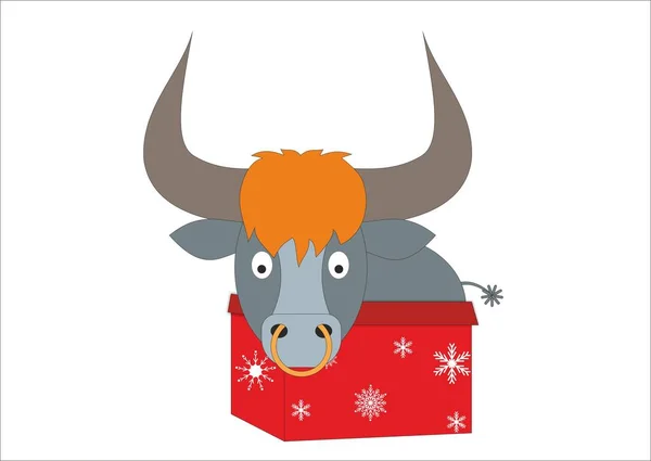 Bull Symbol Nového 2021 Dárkové Krabici Izolováno Bílém Pozadí — Stock fotografie