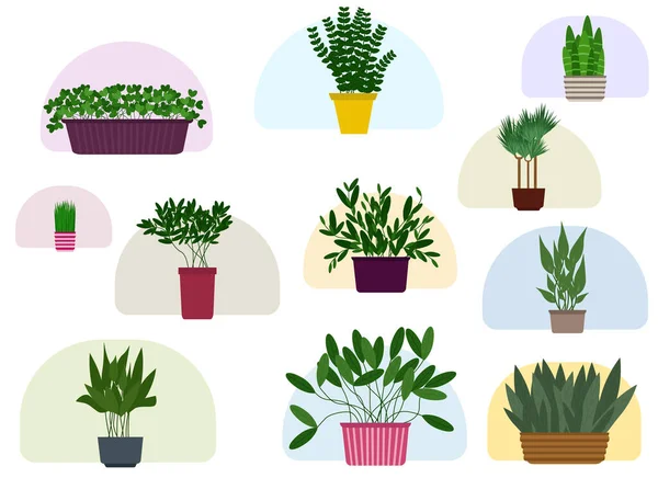 Vector Illustratie Veel Verschillende Potplanten Een Witte Achtergrond — Stockvector
