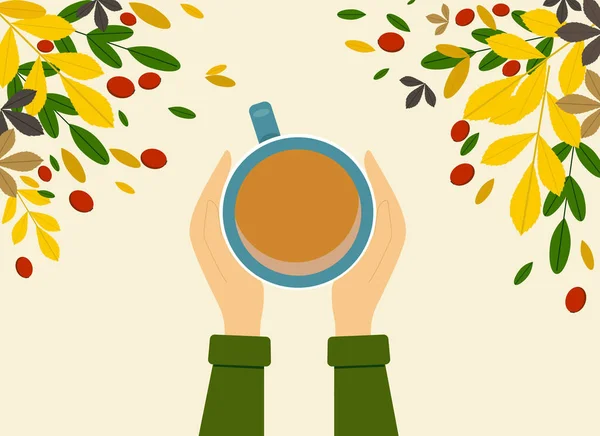 Vector Illustration Female Hands Sweater Holding Cup Coffee Lot Autumn — Stock Vector