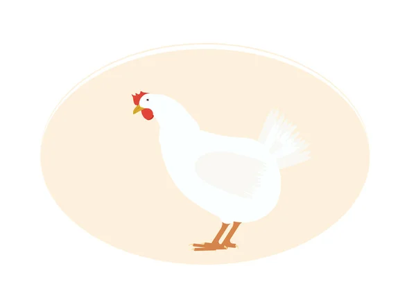 Vector Illustration Domestic White Hen Red Comb Beak — Stock Vector
