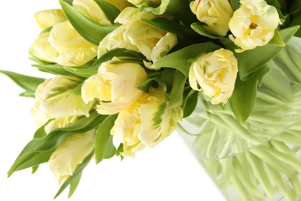 Куча белых тюльпанов — стоковое фото