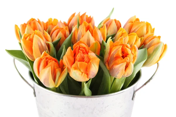 Veel oranje tulpen — Stockfoto