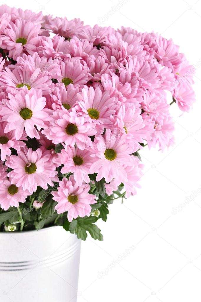 Bouquet of Chrysanthemums
