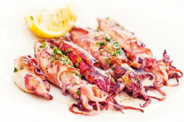 Fresh Adriatic squid in buzara sauce (shallow dof) — Stock Photo, Image