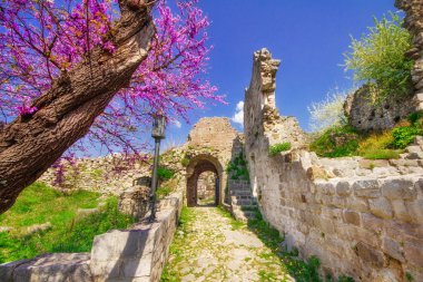 Old Town Bar, Karadağ kalıntıları