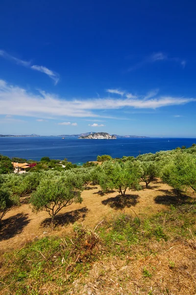 Rural part of Zakynthos with a view of Marathonisi islet — Stock Photo, Image