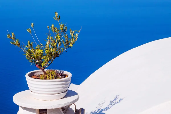 Podrobnosti o architektuře s výhledem na kalderu v obci Fira Santorini, Řecko — Stock fotografie