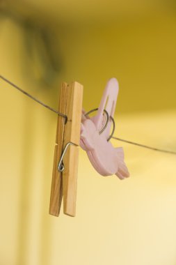 iki clothespins 