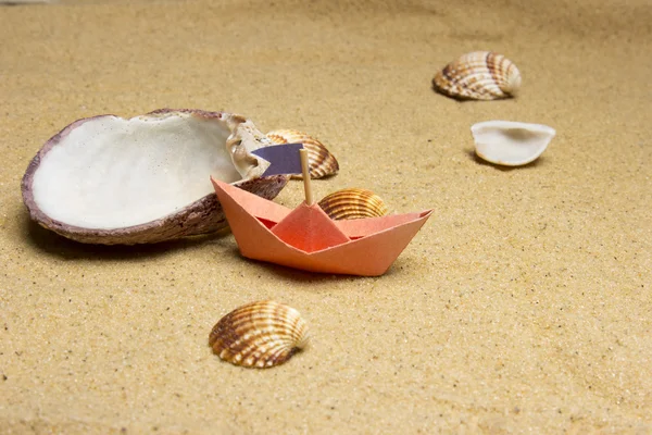 Shells — Stock Photo, Image